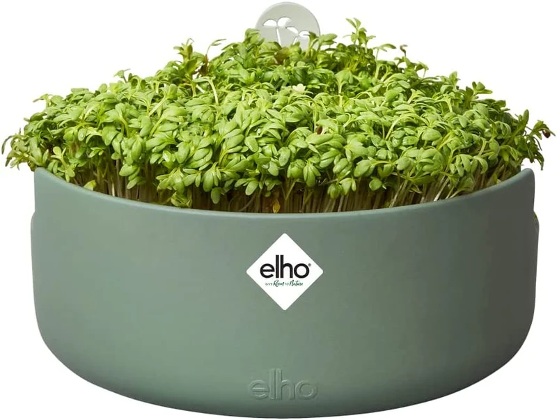 VASO DA COLTURA MAGIC MICROGREENS LEAF GREEN