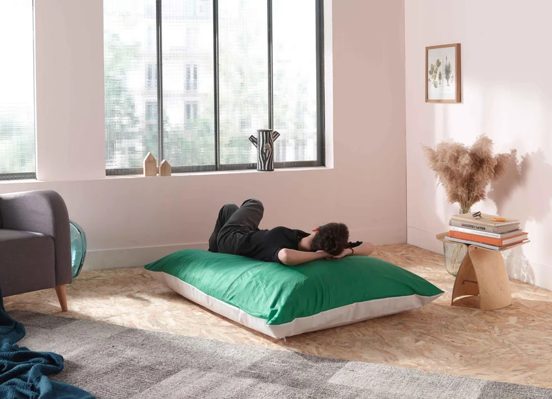 Housse de Petit Vert