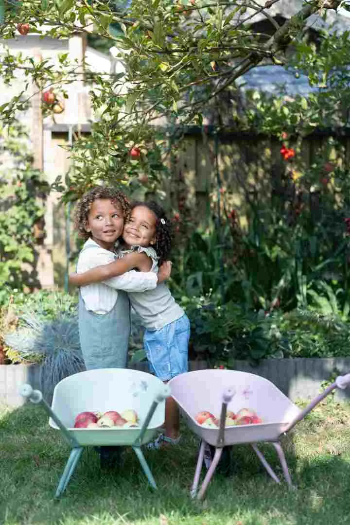 Kinder Schubkarre Fairy Garden – Gartenspielzeug ab 4 Jahren