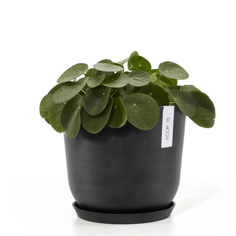 Vaso Fioriera Oslo D25 H21,8 Cm Grigio Scuro Ecopots