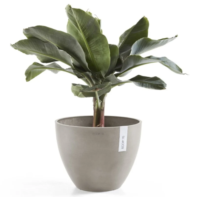 Vaso Rotondo D30 H25,5 Talpa Ecopots