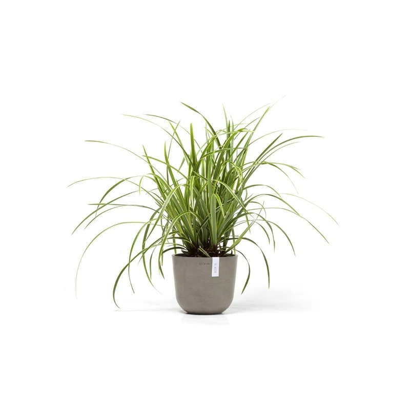 VASO OSLO MINI 19X16,5CM TALPA
