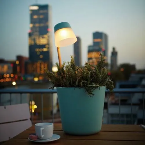 VASO CON LAMPADA SOLARE FLOWER LIGHT COLORE A SCELTA