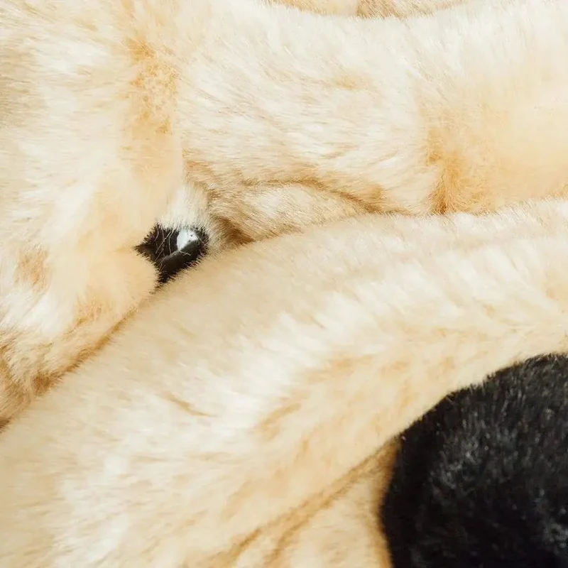 Ma peluche Chien Hector - La Pelucherie