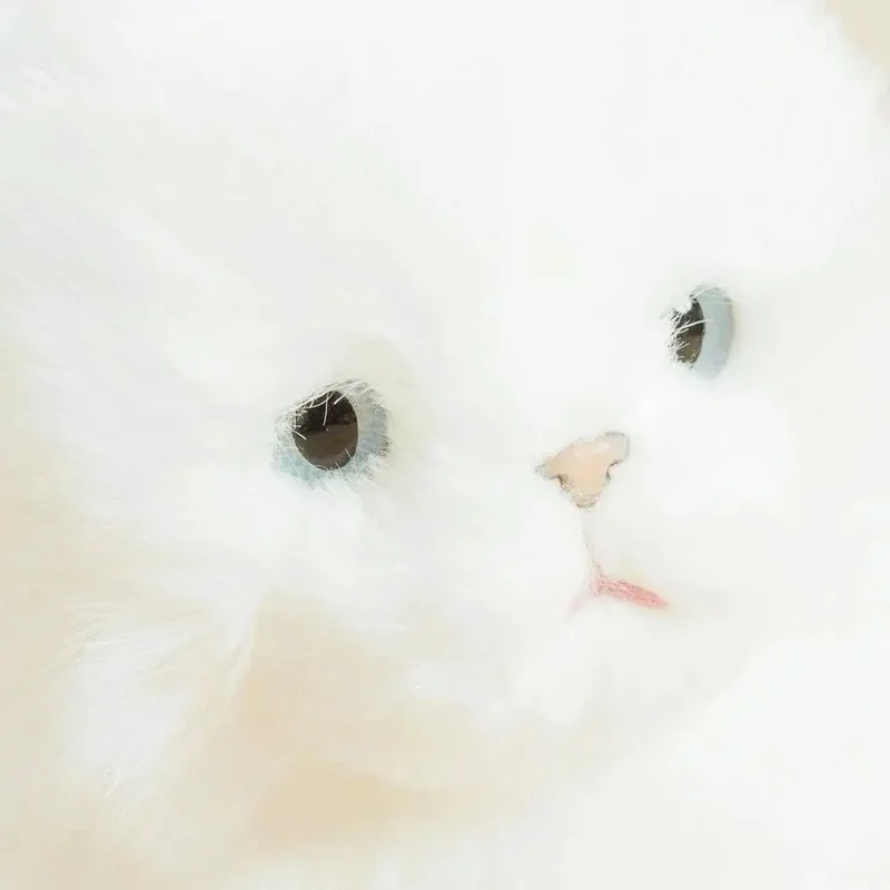 Ma Peluche Chat Oscar - La Pelucherie