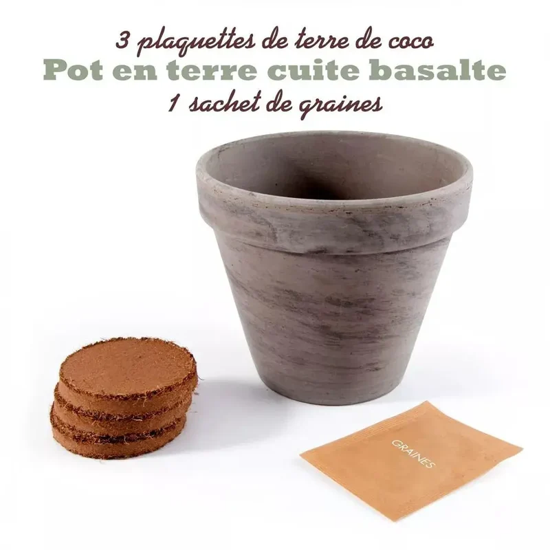 Pot en terre cuite - Menthe verte - Radis et Capucine