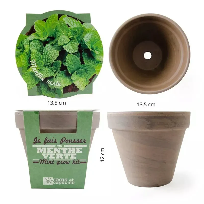 Pot en terre cuite - Menthe verte - Radis et Capucine