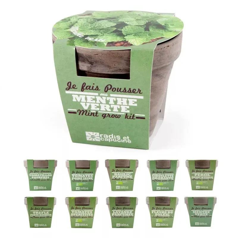 Pot en terre cuite - Menthe verte - Radis et Capucine