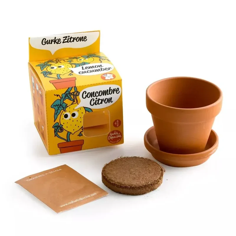 Kit pot terre cuite 8 cm - Concombre citron - Radis et Capucine