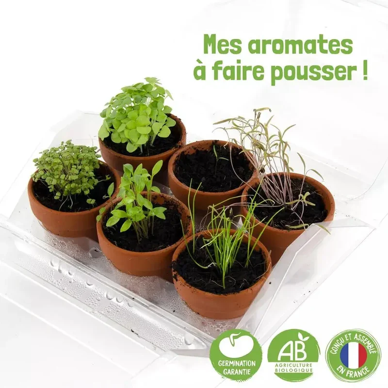 Mini serre de jardinage aromatiques à semer - Radis et Capucine