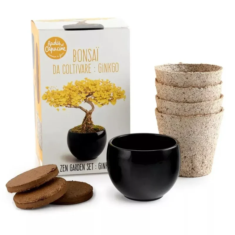 Kit Bonsaï Ginkgo - Radis et Capucine