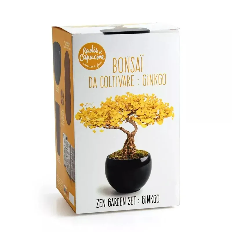 Kit Bonsaï Ginkgo - Radis et Capucine