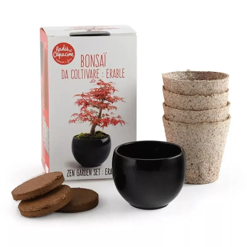 Kit Bonsaï Erable rouge - Radis et Capucine