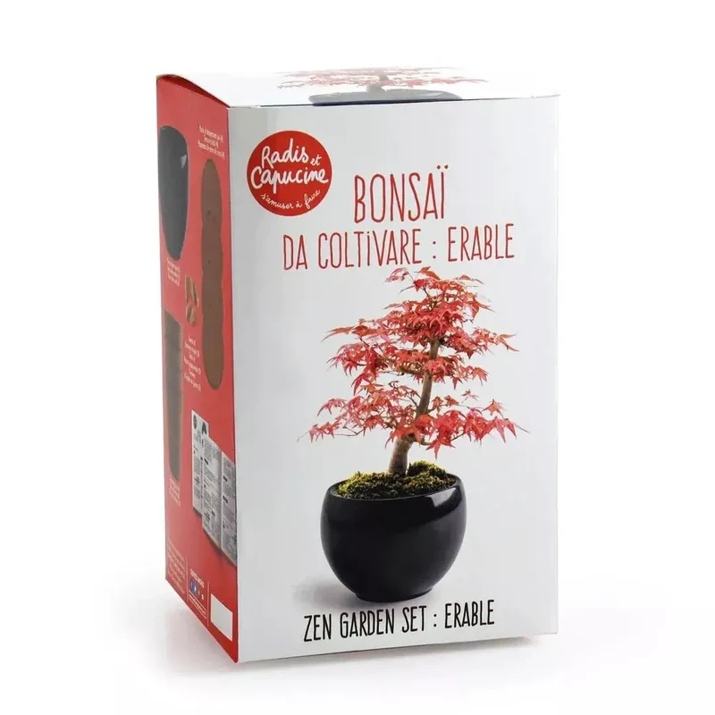 Kit Bonsaï Erable rouge - Radis et Capucine