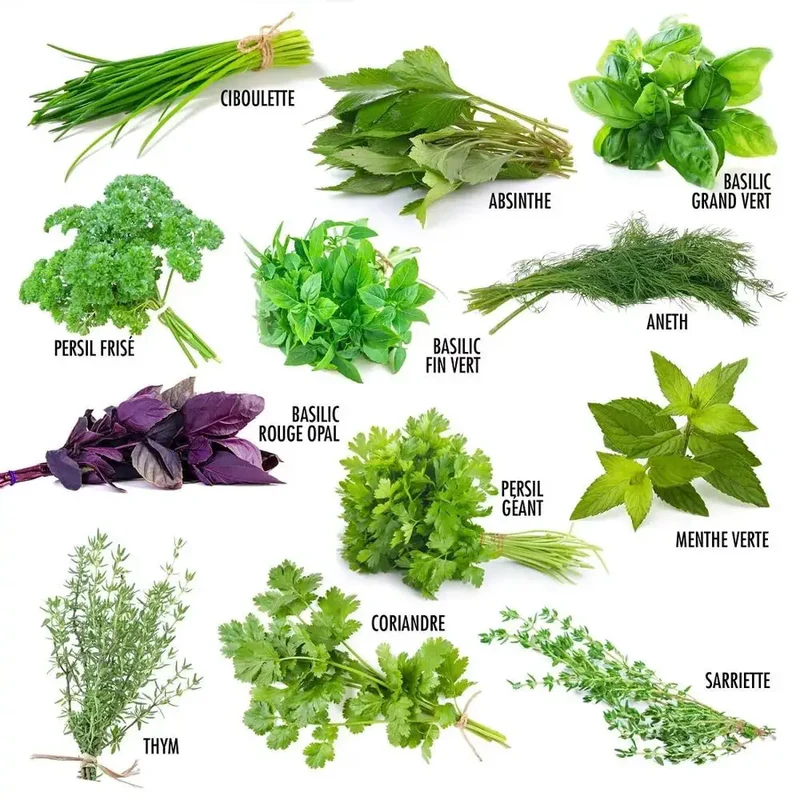 Enveloppe de 12 sachets - Aromates