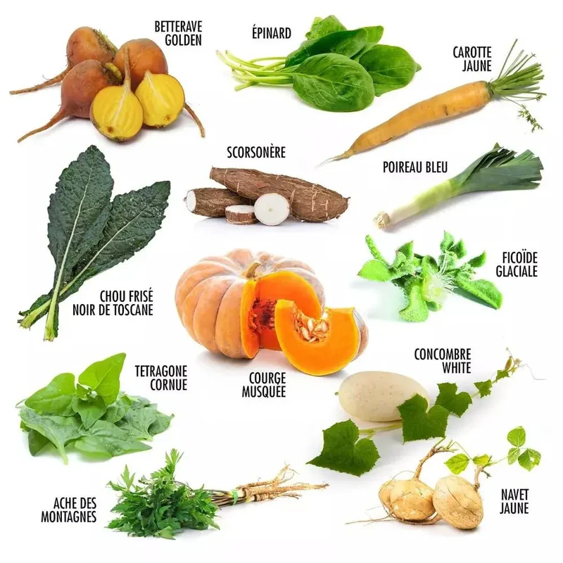 Enveloppe de 12 sachets - Légumes anciens - Radis et Capucine