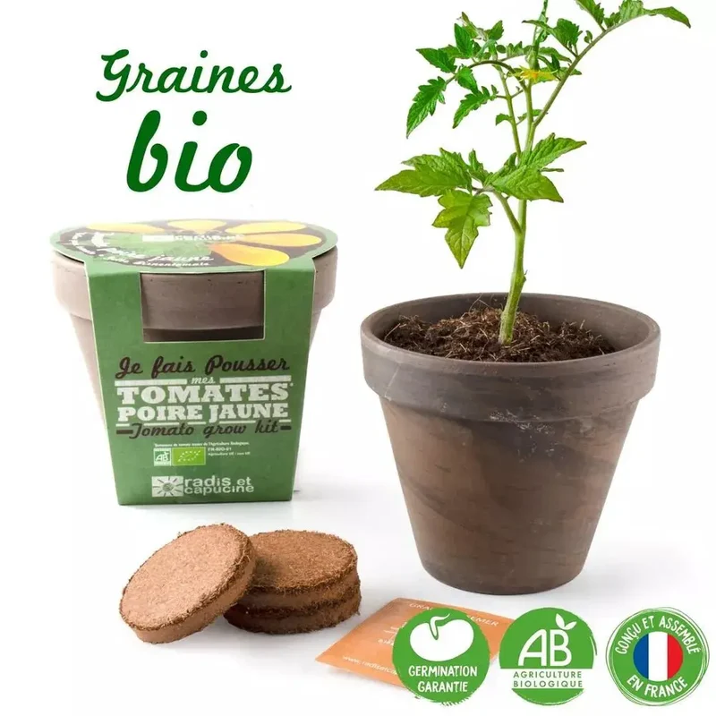Pot Terre cuite Basalte 13cm - Tomate poire jaune Bio - Radis et Capucine