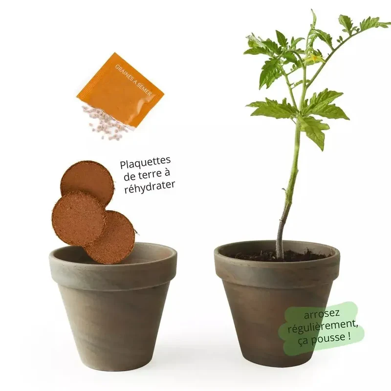 Pot Terre cuite Basalte 13cm - Tomate poire jaune Bio - Radis et Capucine