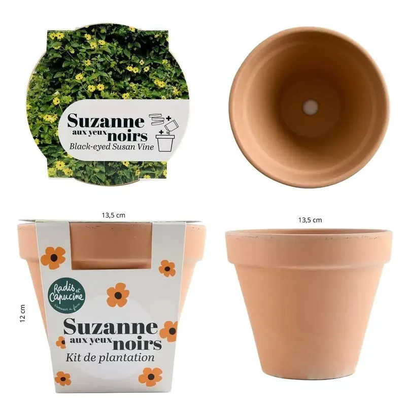 Pot Terre cuite Antique - Suzanne aux yeux noirs - Radis et Capucine