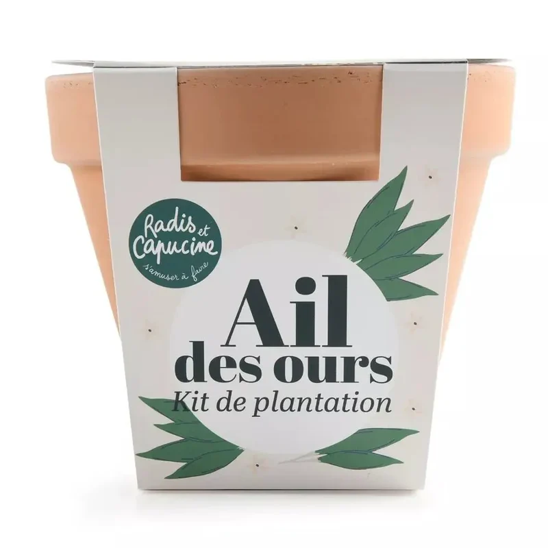 Pot Terre cuite Antique - Ail des ours - Radis et Capucine