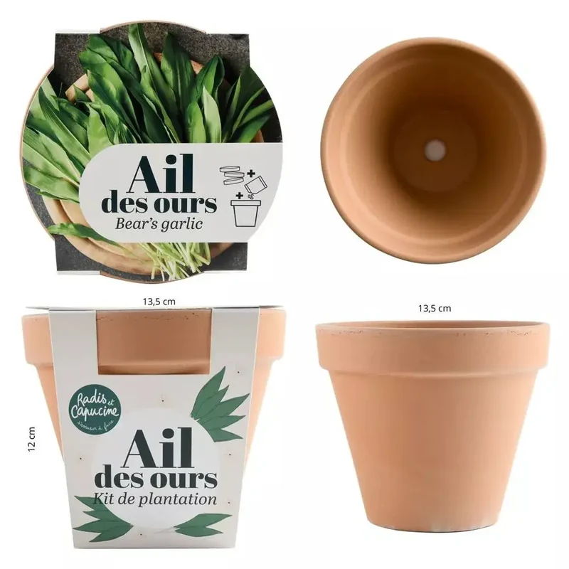 Pot Terre cuite Antique - Ail des ours - Radis et Capucine