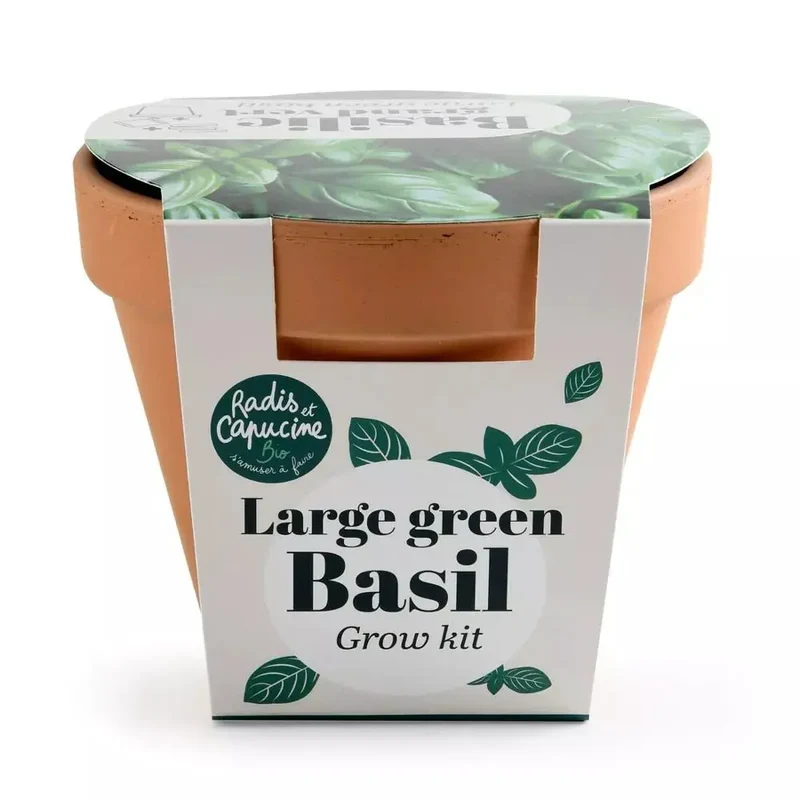 Pot Terre cuite Antique - Basilic grand vert Bio - Radis et Capucine