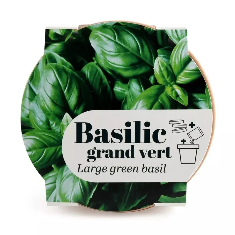 Pot Terre cuite Antique - Basilic grand vert Bio - Radis et Capucine