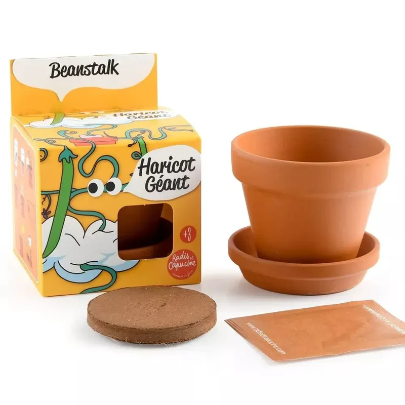 Haricot géant - Plantes extraordinaires - Radis et Capucine