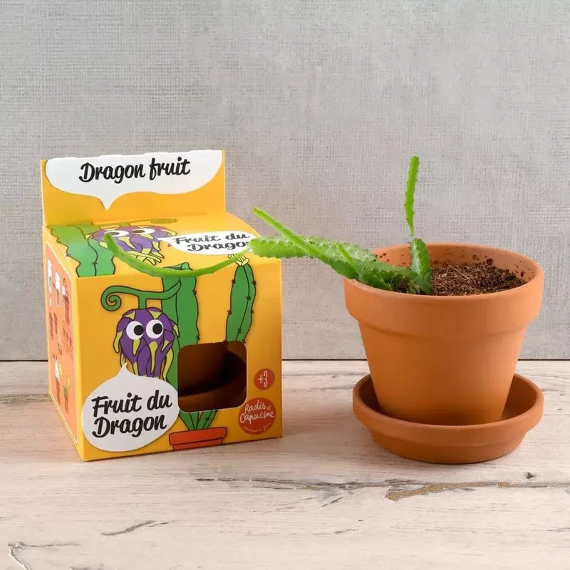 Fruit du dragon - Plantes extraordinaires - Radis et Capucine