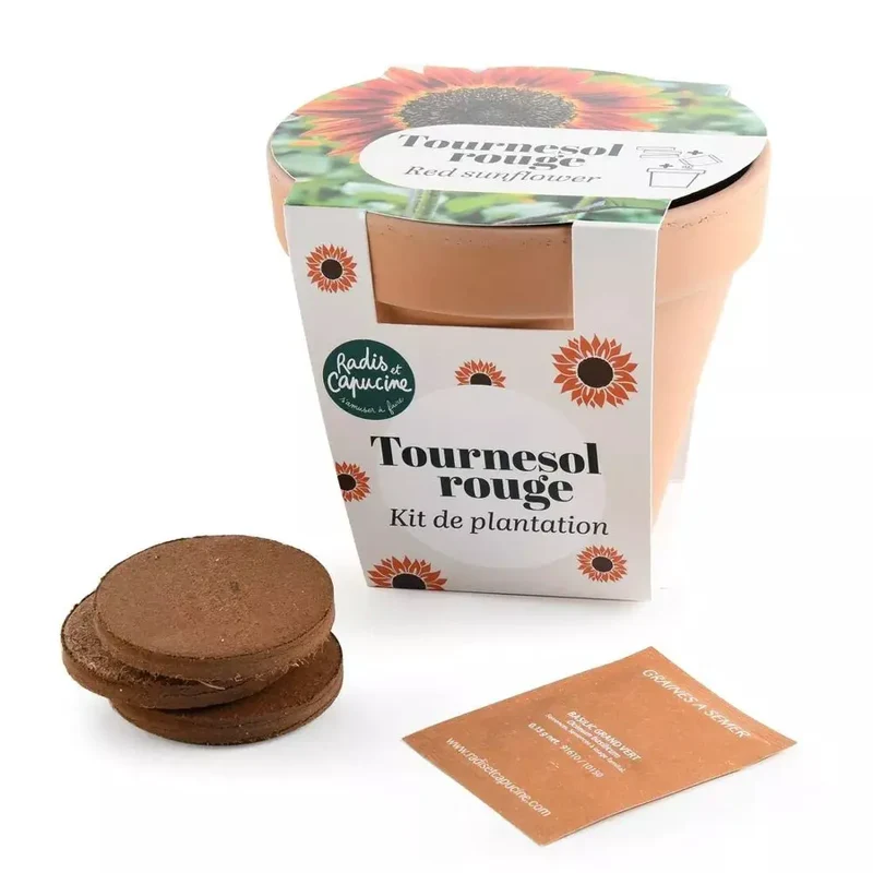 Pot Terre cuite Antique - Tournesol rouge