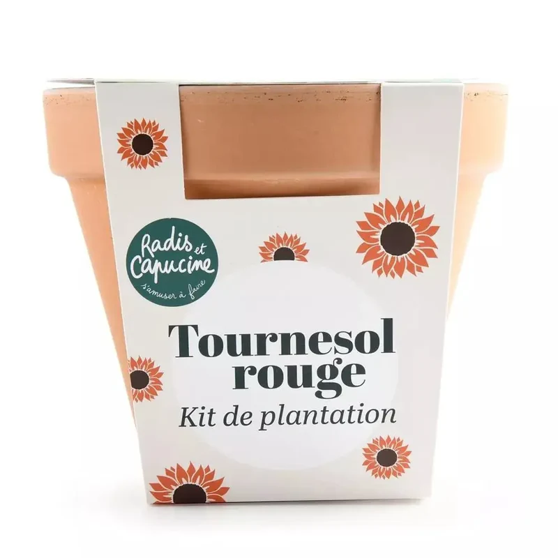 Pot Terre cuite Antique - Tournesol rouge