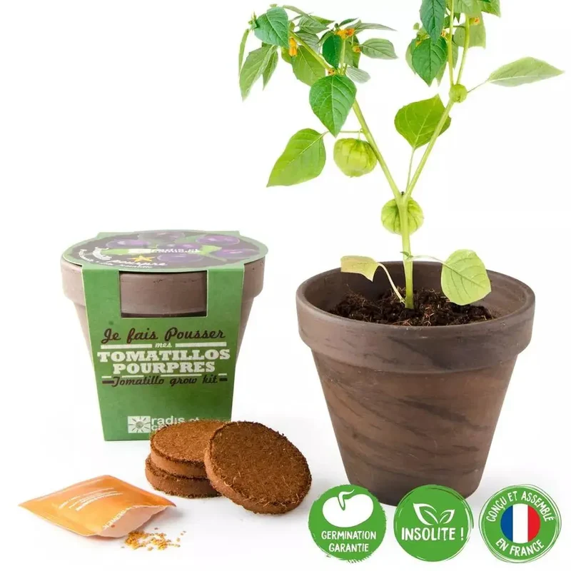 Pot Terre cuite Basalte 13cm Tomates Violettes - Radis et Capucine