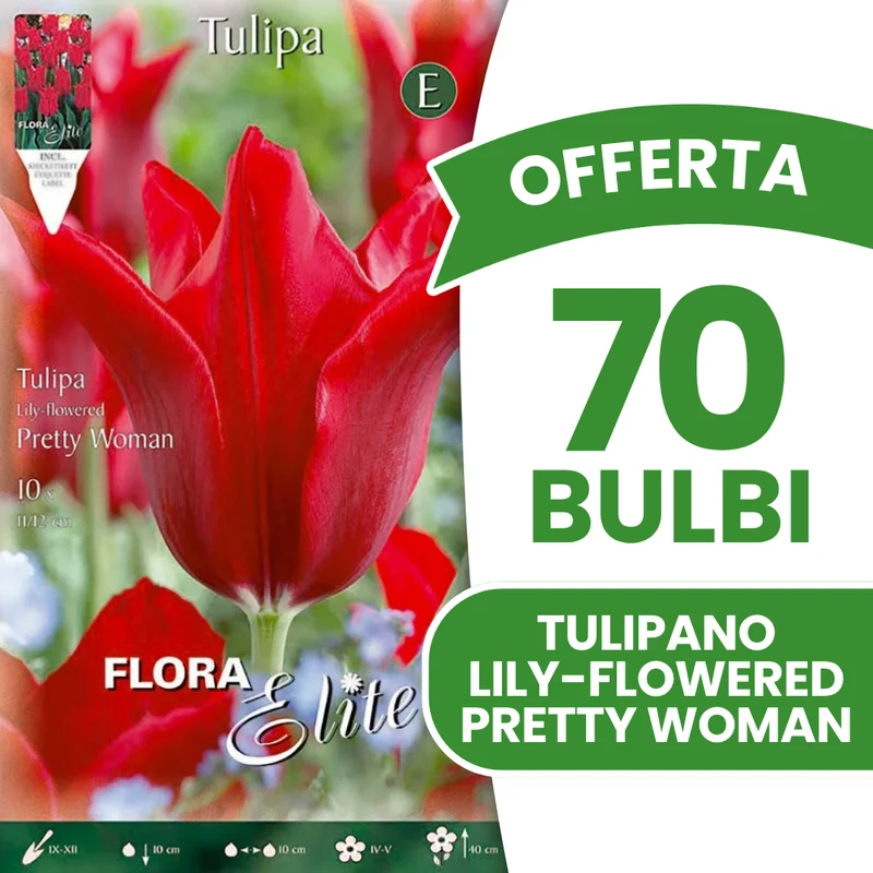 Offerta 70 Bulbi di Tulipano a Lily-Flowered Pretty Woman