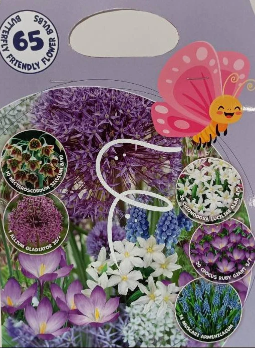 Bulbi da Fiore Amici delle Farfalle 65 Bulbi