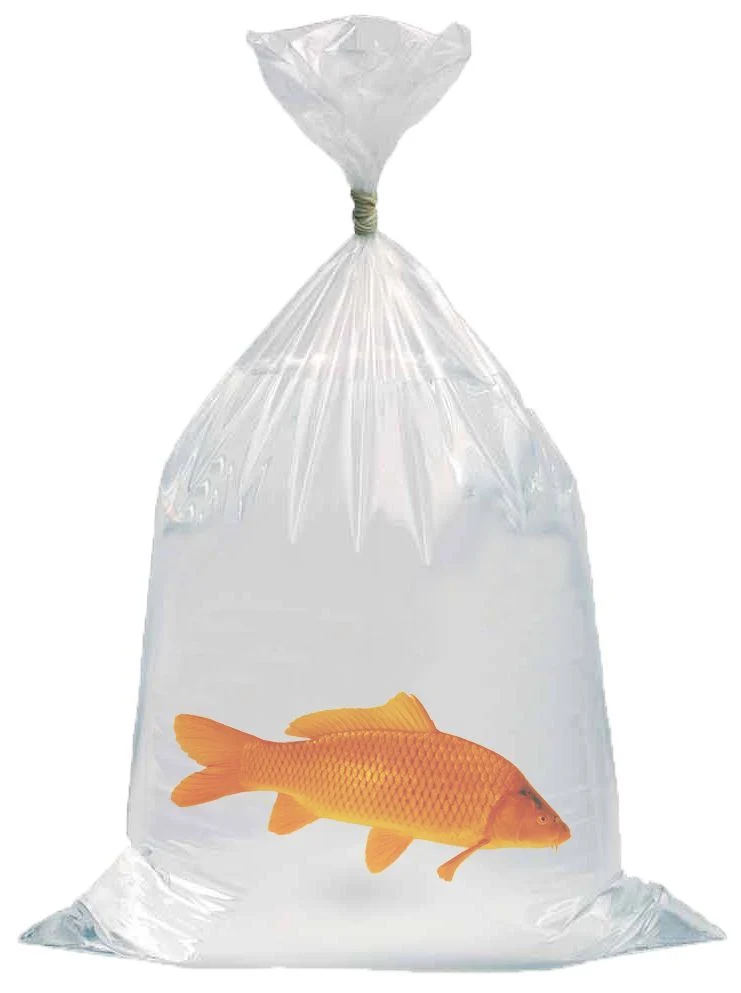 AquaForte Vistransportzak 50 x 120 cm (100 stuks)