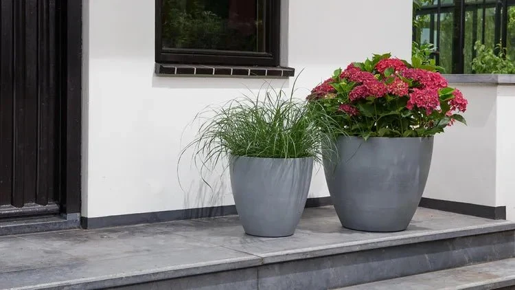 Keter - Maceta de jardín Betón redonda efecto hormigón 53 cm gris