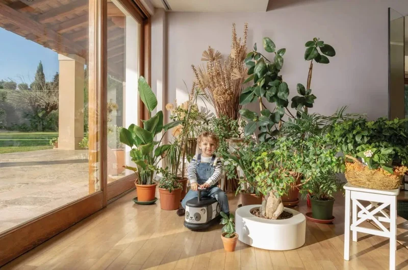 La Cosa 1 Porteur Panda Italtrike Animaux Ludiques Pour Enfants 1 À 6 Ans Avec Roues Multidirectionnelles