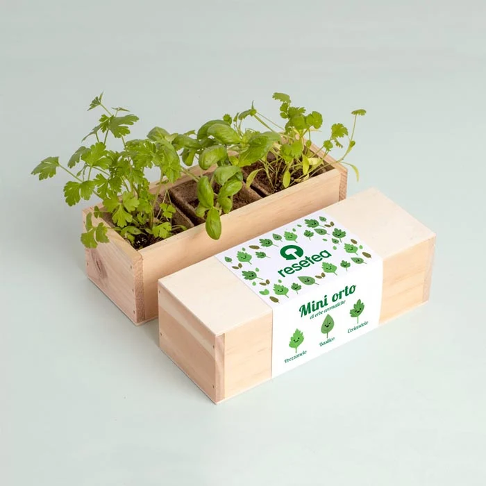 MINI ORTO - ERBE AROMATICHE