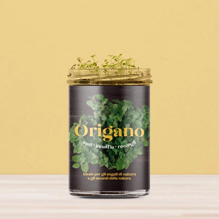 ORTO CUCINA - ORIGANO