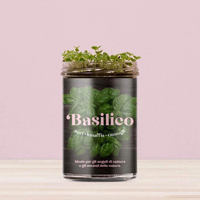 ORTO CUCINA - BASILICO