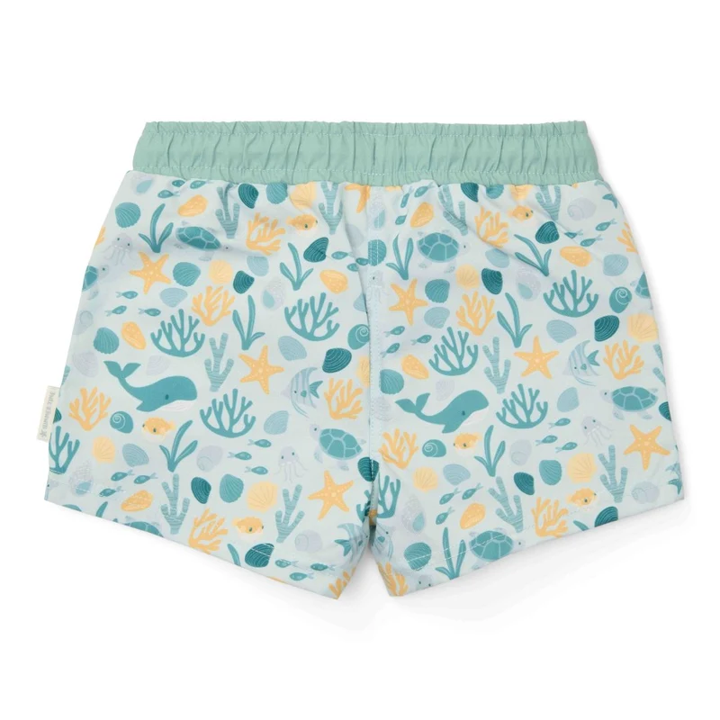 Badehose Seashells Multi-colour | Little Dutch