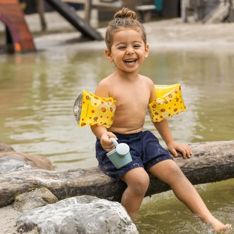 Brassards de Natation Circus ( 2 à 6 ans ) - Swim Essentials
