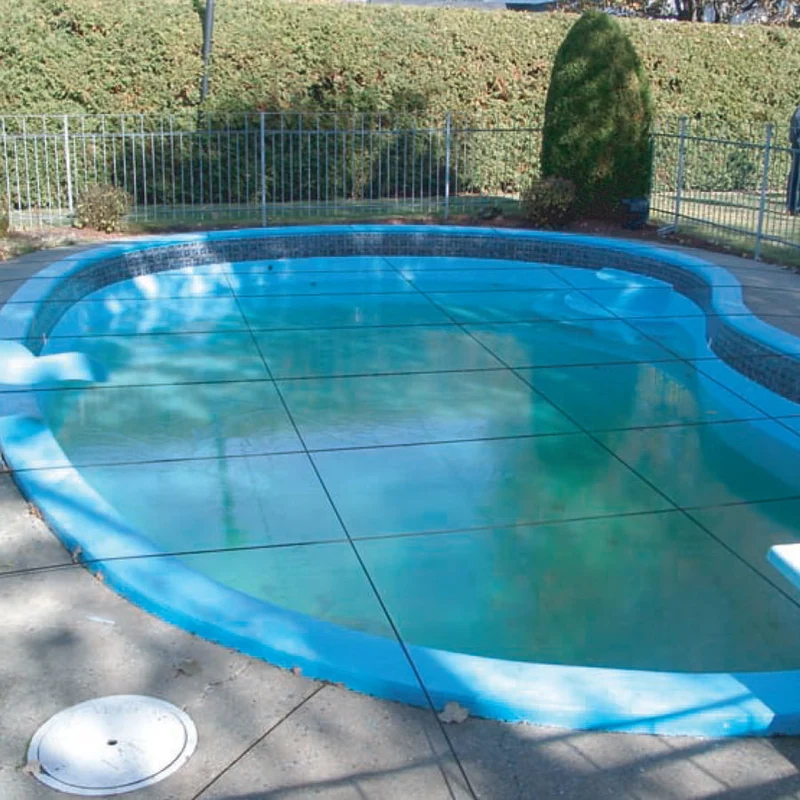 Système d'élastiques pour piscine creusée