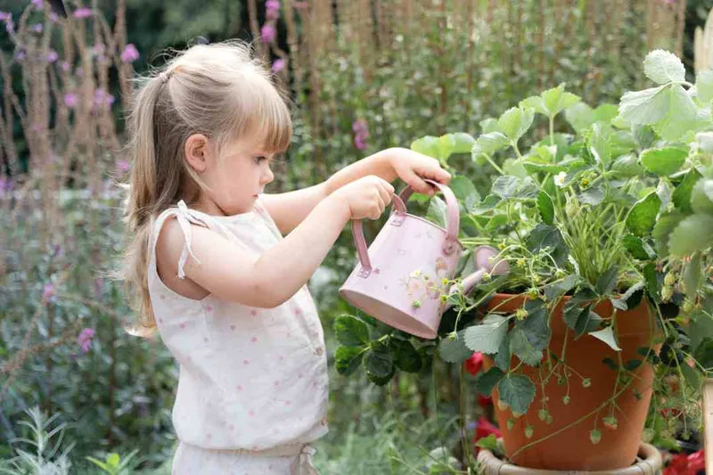 Kinder-Gießkanne Fairy Garden Rosa aus Metall ab 3 Jahren | Little Dutch