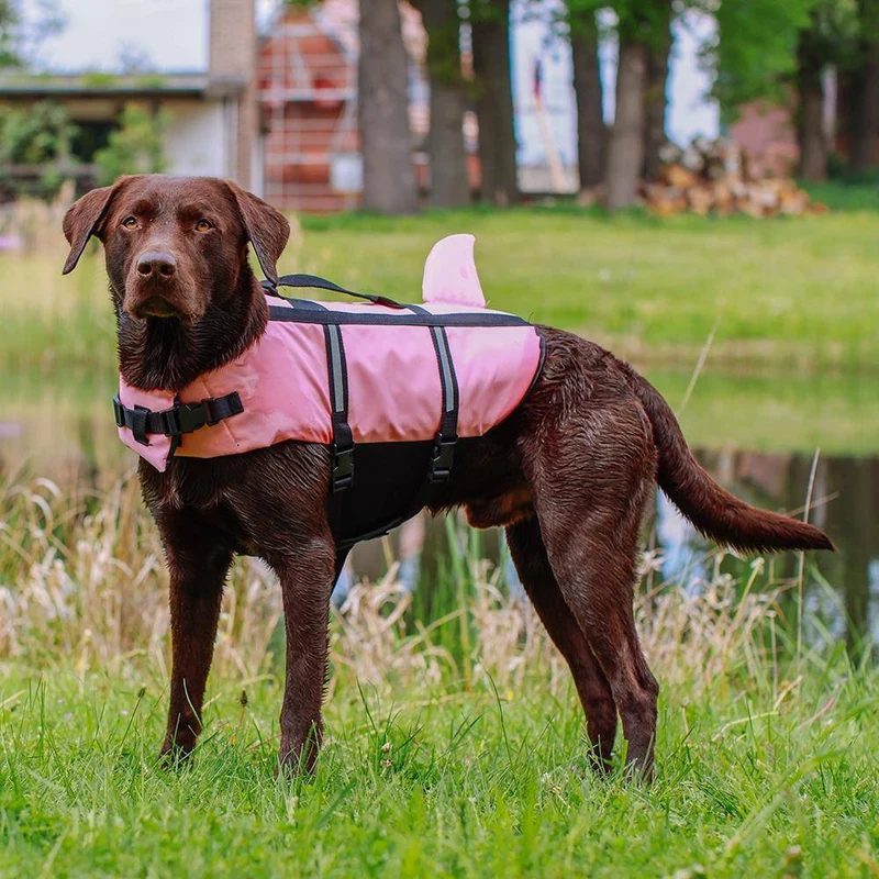 Nobby Sharki Hunde-Schwimmhilfe Pink L 40 cm – personalisierbar