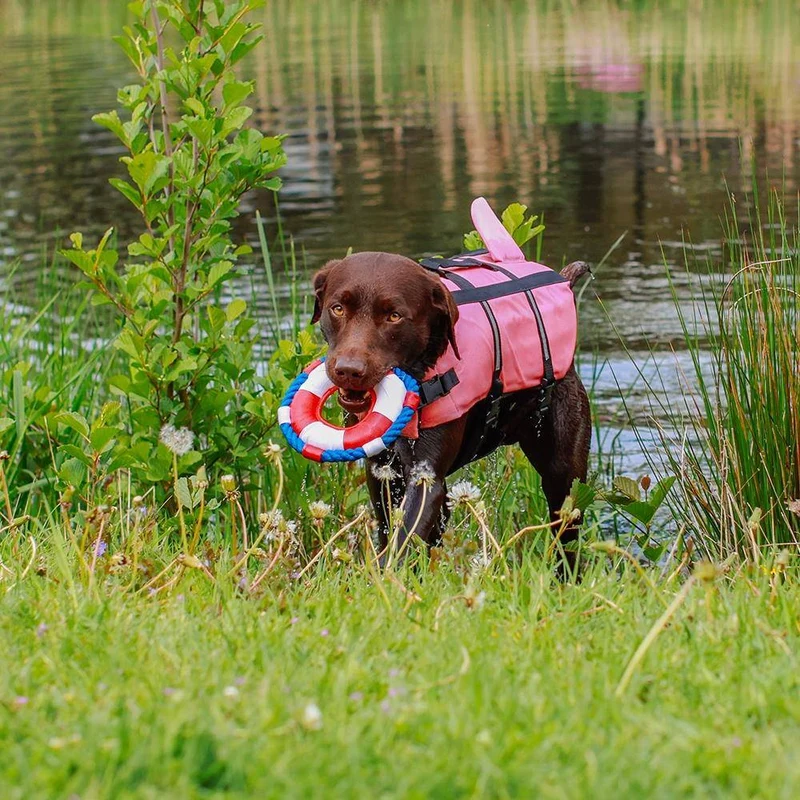 Nobby Sharki Hunde-Schwimmhilfe Pink L 40 cm – personalisierbar