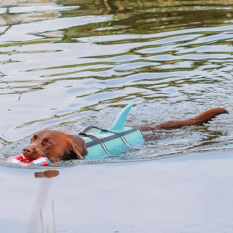 Nobby Sharki Hunde-Schwimmhilfe Hellblau L – personalisierbar