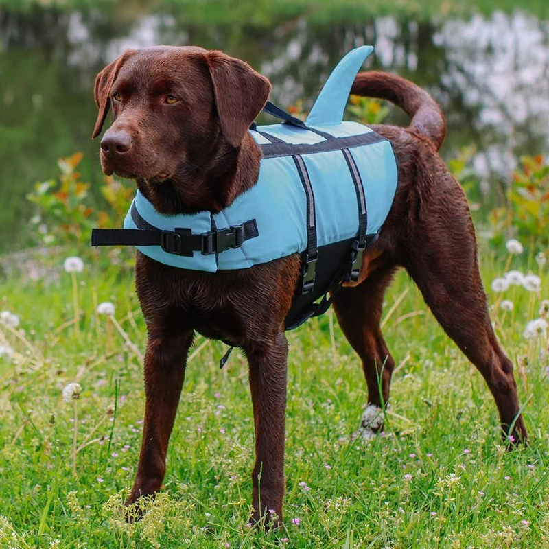 Nobby Sharki Hunde-Schwimmhilfe Hellblau L – personalisierbar