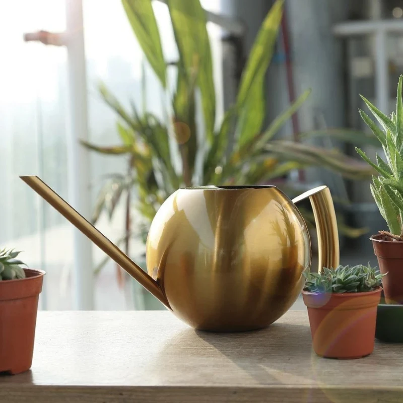 AquaFlow – Elegant indendørs vandkande til blomster og planter