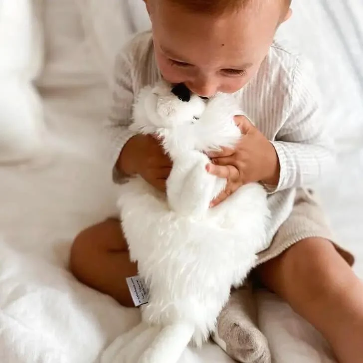 Ma peluche Phoque Arsène - La Pelucherie